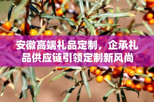 安徽高端礼品定制，企承礼品供应链引领定制新风尚